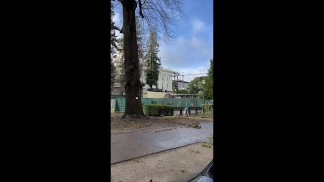 Damaging Winds Down Trees Outside California State Capitol as Deadly Storms Continue