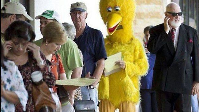 Big Bird