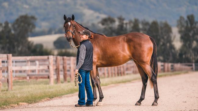 Julie Danet and Lot 17 Snitzel and Politeness filly at Arrowfield Stud in Scone, in the Upper Hunter Valley. Picture: Joan Faras