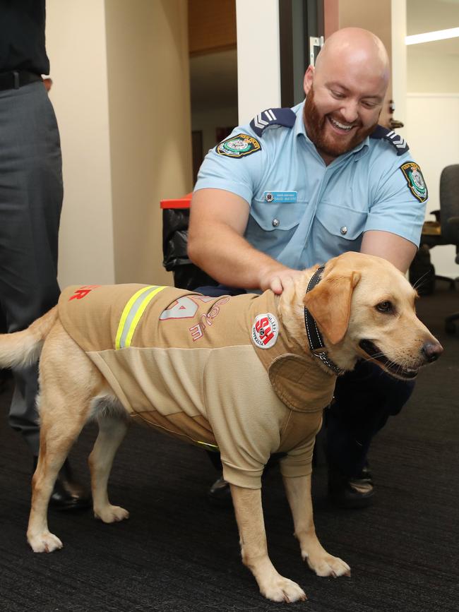 Best paw forward to meet Senior Constable David Waters. Picture: David Swift