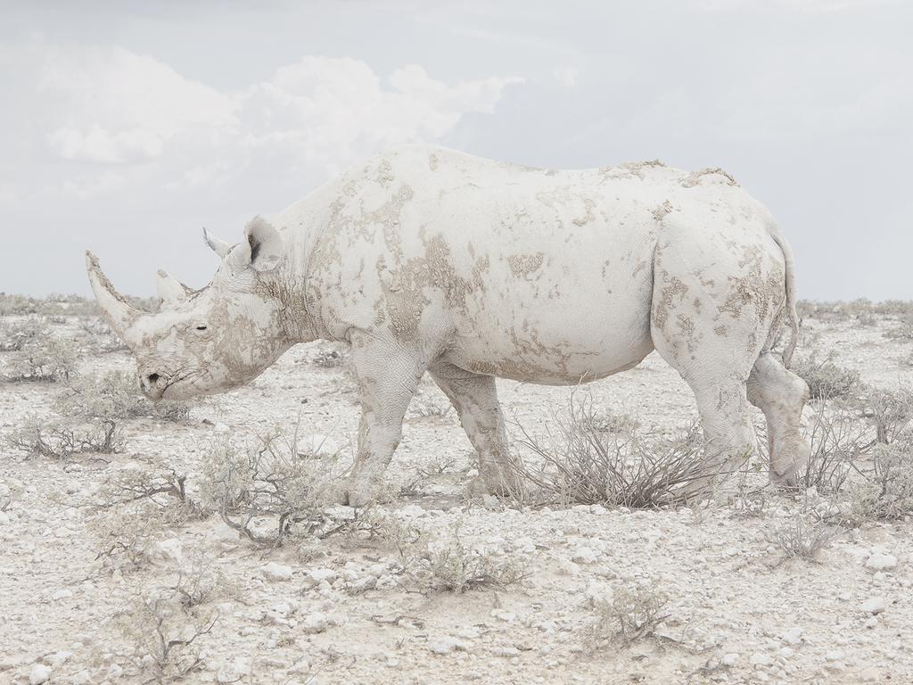 “Patience is required to discover the wide range of Namibia’s subtle scenery.” Picture: Maroesjka Lavigne, Belgium, Shortlist, Professional Landscape, 2016 Sony World Photography Awards