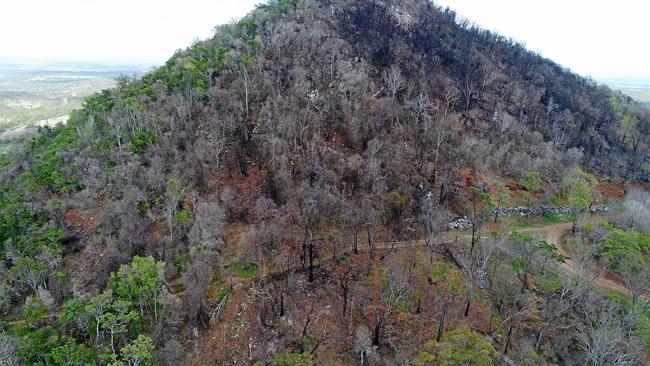 Fire damage on Mt Etna is more complex than it appears. Picture: Allan Reinikka ROK210119amtetna2