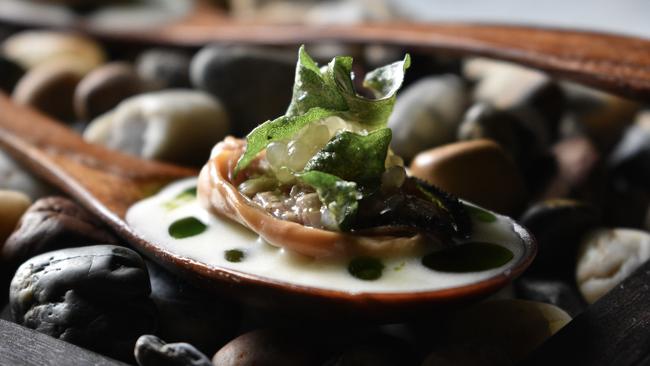 Poached mussel, wagyu tartare and koji butter, a snack at Magill Estate Restaurant