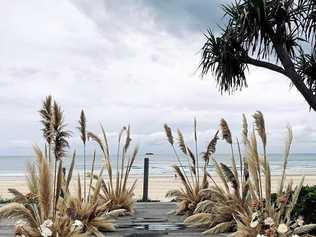 Pampas grass has been popular with North Coast weddings, and Bower Botanicals owner Jaala Mills said many florists felt they would lose jobs if they refused to supply the weed. Picture: Contributed