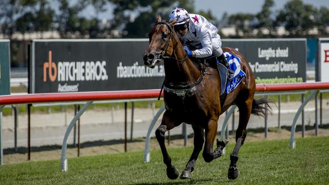 Sunlight, ridden by Luke Currie, on its way to victory at the Gold Coast. Picture: Jerad Williams