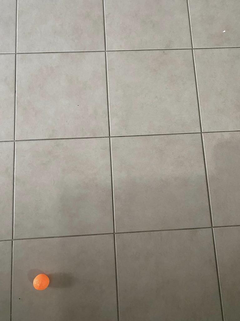 The tiles pre-clean. Picture: Facebook/Cleaning and Organising Inspiration Australia