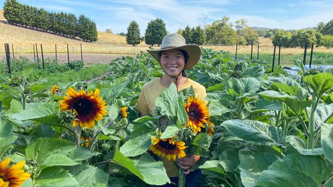 Thanisa Adams, 28, runs Wattle Gully Produce market garden in Upper Plenty, Victoria.