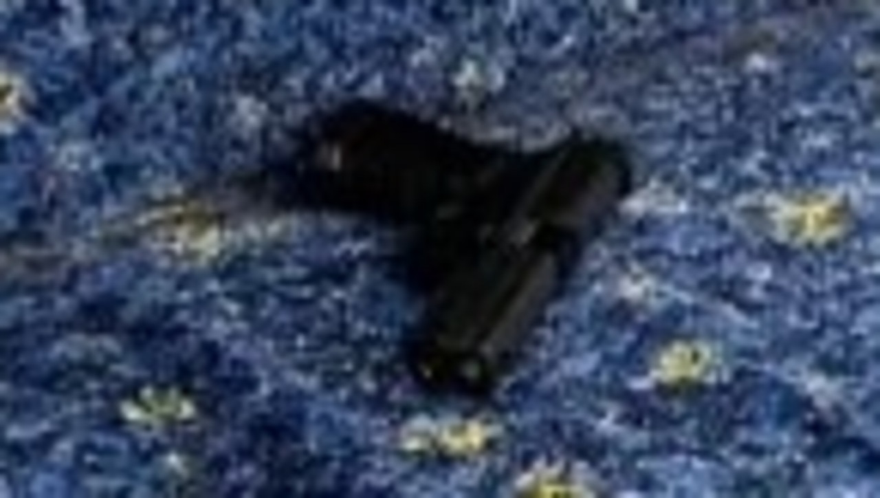 Man allegedly left gel blaster gun on Sydney train