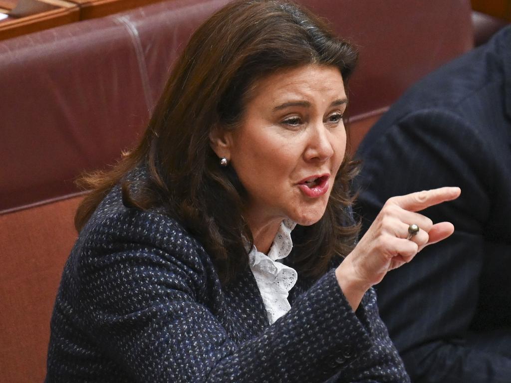 Senator Jane Hume lashed out at Albanese. Picture: NewsWire / Martin Ollman