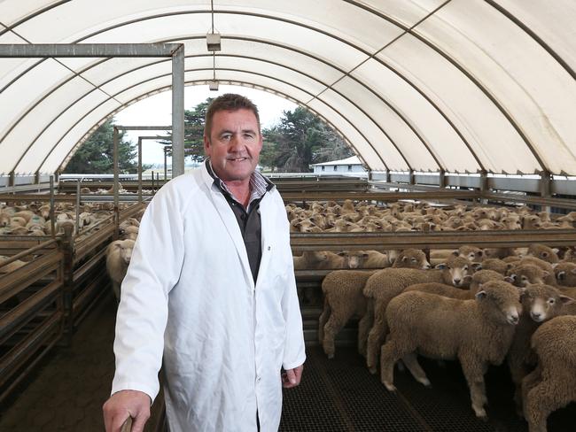 Brian Oliver, Managing Director of Tasmanian Quality Meats at Cressy. Picture: NIKKI DAVIS-JONES