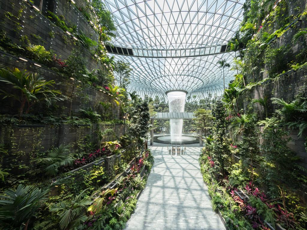 Singapore: New Jewel Changi Airport is a treat for jungle lovers