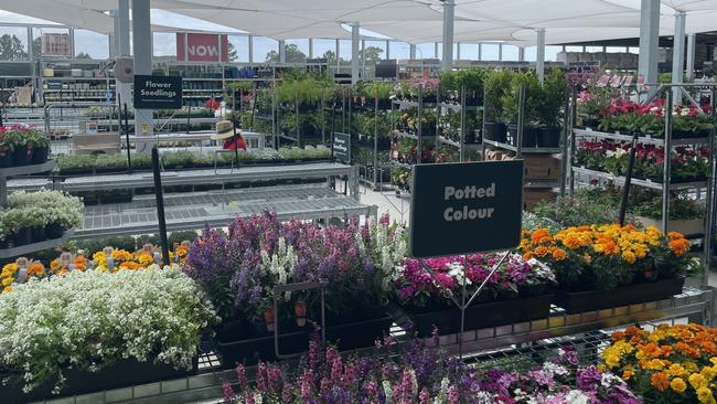 Ms Sweet said Bunnings had invested considerably in the nursery space at Caboolture. Picture: Aaron Goodwin