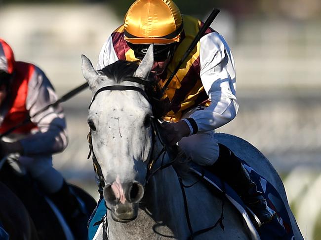 Jockey Jim Byrne rides Silvera (centre) to victory in race 8, the Tattersall's Mile, during the Triple M Rocks Tattersall's Raceday at Eagle Farm Racecourse in Brisbane, Saturday, July 20, 2019. (AAP Image/Albert Perez) NO ARCHIVING, EDITORIAL USE ONLY