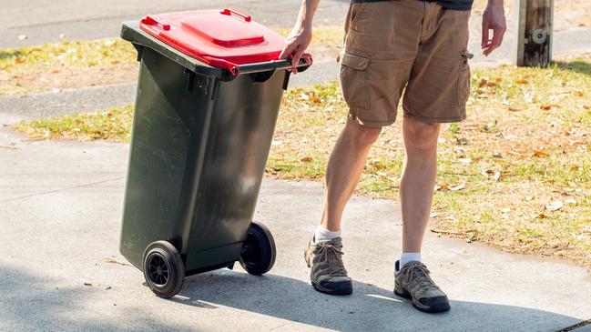 Is it okay to drop off your dog’s unmentionables into a stranger’s bin? Or should dog owners discard their pooches deposits with their own refuse? (File picture)