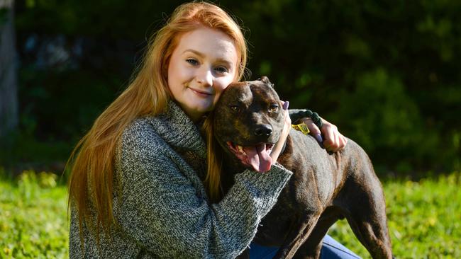 When Amber and her young son fled to live with her parents they could not take their English staffy Rufus or American staff Ruby, but Safe Pets Safe Families helped them out. Picture: AAP / Brenton Edwards