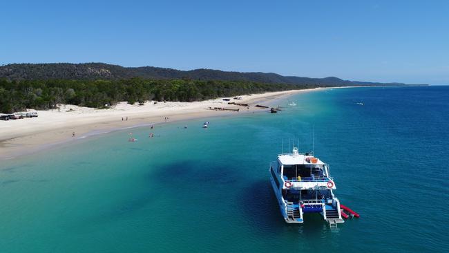 Dolphin Wild Island Cruises in Moreton Bay.