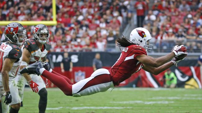 Arizona Cardinals wide receiver Larry Fitzgerald jumps to make a reception.