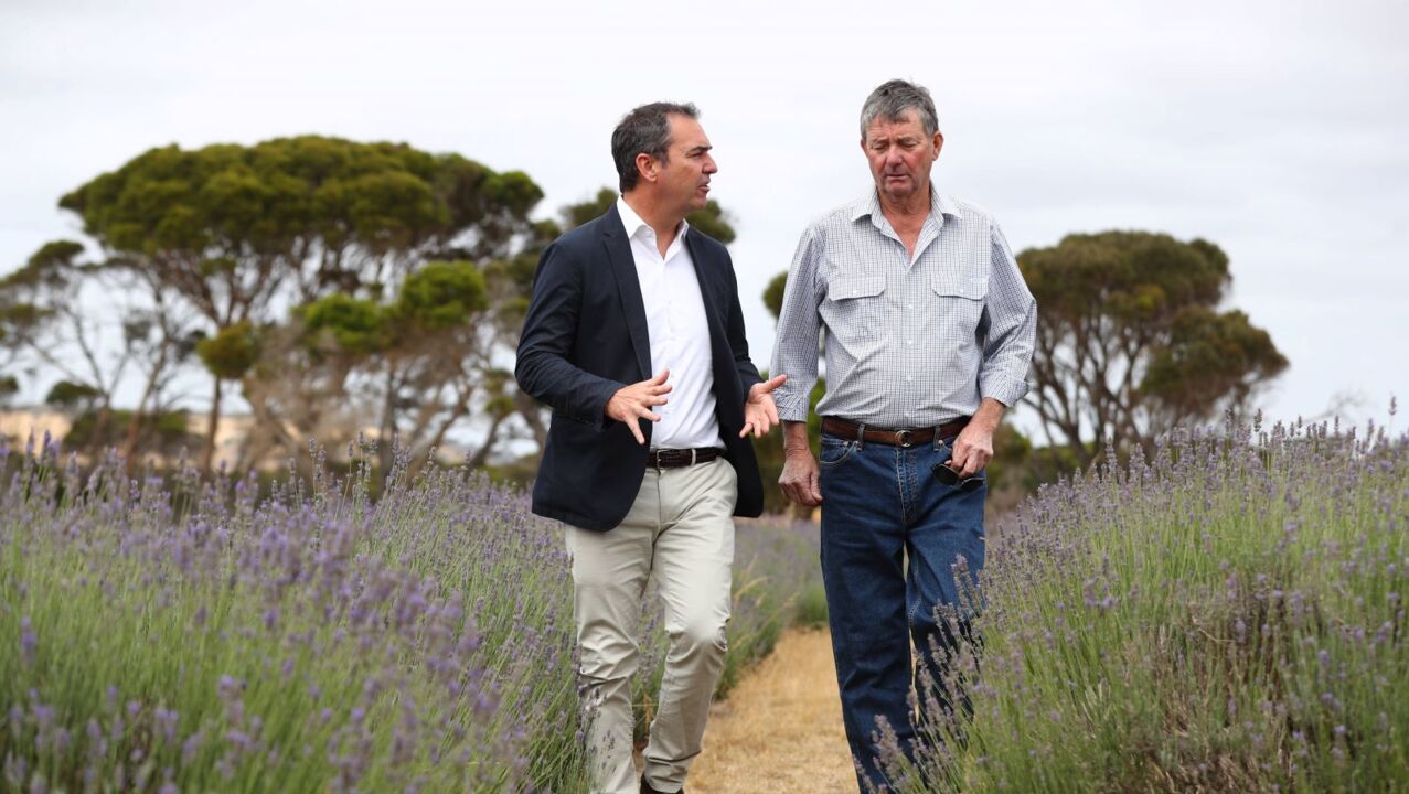 SA Premier Stephen Marshall to take over tourism portfolio to lead bushfire recovery