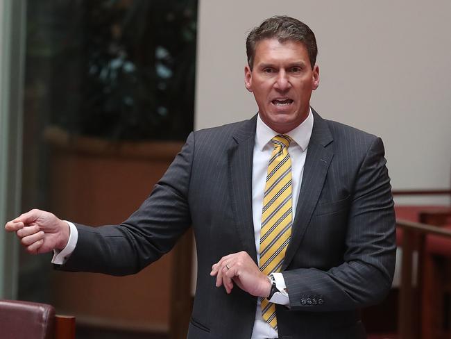 Senator Cory Bernardi in the Senate Chamber, at Parliament House in Canberra.