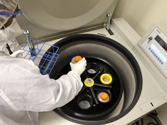 In this photo taken March 29, 2017, cell production associate Herley Beyene places containers of immune cells in a centrifuge at the Fred Hutchinson Cancer Research Center in Seattle. Researchers are genetically reprogramming patients' immune cells to create "living drugs" that better seek and destroy cancer. Picture: Elaine Thompson