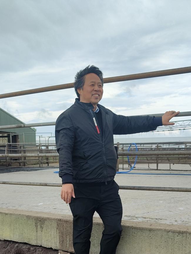 Mr Lu on one of Woolnorth's dairy farms