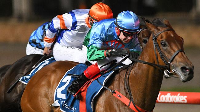 Scales Of Justice will be out to push his case for a wildcard into the All-Star Mile with a win in the Orr Stakes at Caulfield. Picture: AAP