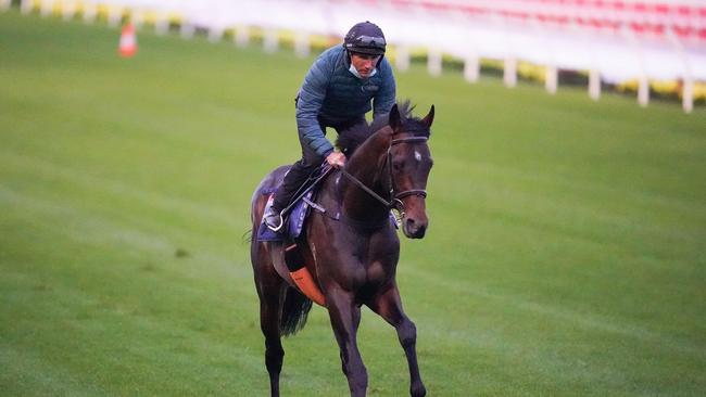 Damien Oliver aboard Cox Plate favourite Russian Camelot in a gallop at The Valley last Saturday. Photo: Scott Barbour/Racing Photos via Getty Images.