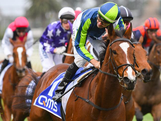 Bam's On Fire can return to the winners’ list at Flemington’s inaugural twilight meeting.