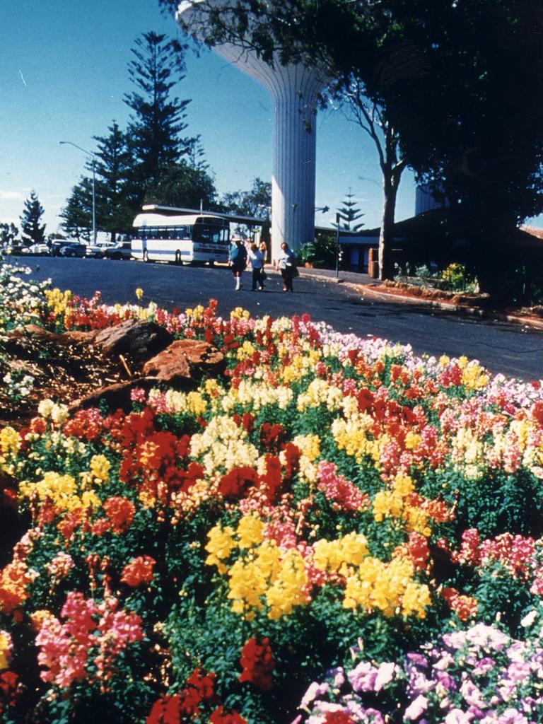 Toowoomba Carnival of Flowers.. street scene flowers plants gardens gardening qld tourism travel sept 1996 blooms