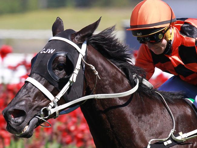 Hogmanay ridden by James innes JNR wins race 6 at Rosehill Gardens. Pic Jenny Evans