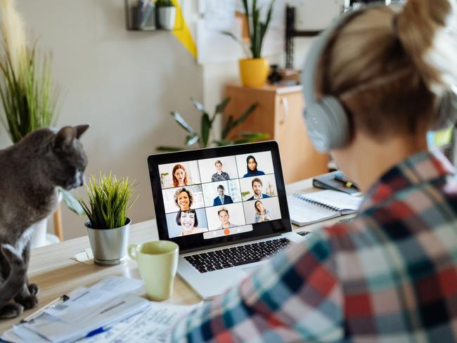 Generic work from home photo for SAWeekend. Portrait of modern woman at home teleconferencing with colleagues while cuddling her cat. Picture: iStock