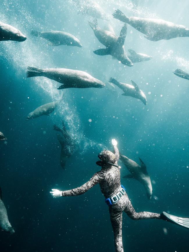 Swim with the seals and whales in Jervis Bay. Picture: Supplied/@brodiewmedia