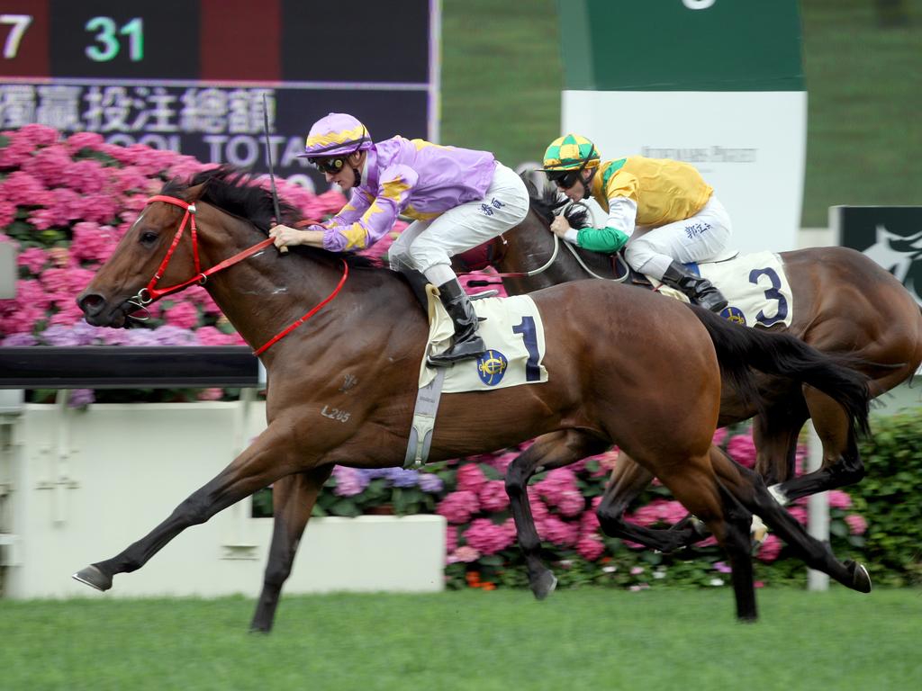 Little Bridge is one of only two Royal Ascot victors for Hong Kong. Picture: HKJC