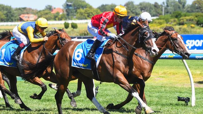 El Soleado can get punters off to a flying start at Saturday’s Flemington meeting. Picture: Racing Photos via Getty Images