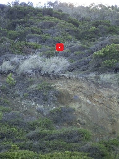 The hiding place where Wong was found near the dropsite. Picture: AFP.