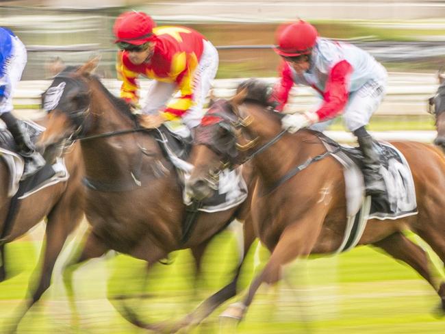 Matthew McGillivray rides Quality Seeker to victory in race 2, the Trump Flooring Class 4 Plate, during Brisbane Metro races at Eagle Farm Racecourse in Brisbane, Saturday, February 22, 2020. (AAP Image/Glenn Hunt) NO ARCHIVING, EDITORIAL USE ONLY