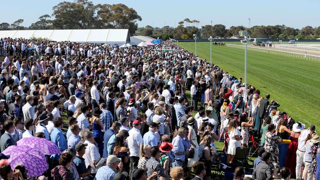 Locals were treated to bright sunshine on Geelong Cup Day. Picture: Mike Dugdale