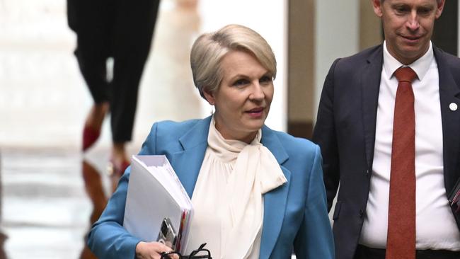 Federal Water Minister Tanya Plibersek has been overwhelmed with responses to the government’s 70GL water purchasing tender.