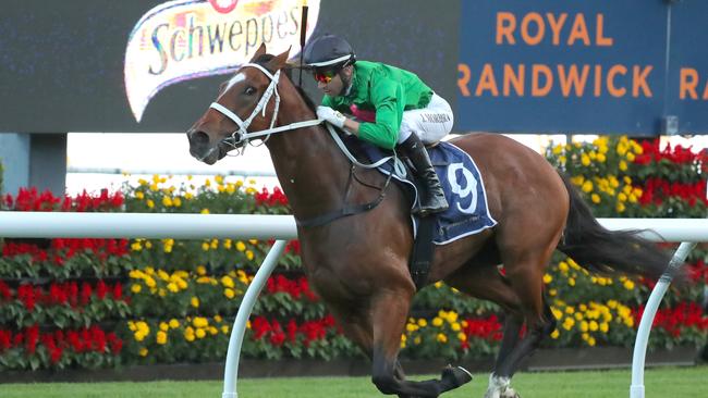 Railway Stakes contender Democracy Manifest is showing signs of lameness. Picture: Jeremy Ng/Getty Images