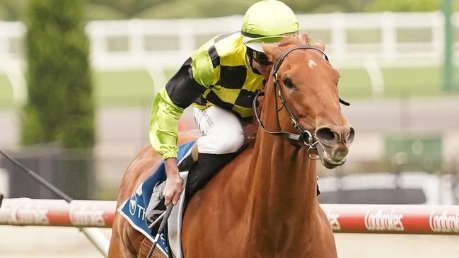 Luna Cat ridden by Luke Nolen wins the Front Runner Membership Handicap at Moonee Valley Racecourse on December 03, 2021 in Moonee Ponds, Australia. (Scott Barbour/Racing Photos via Getty Images)