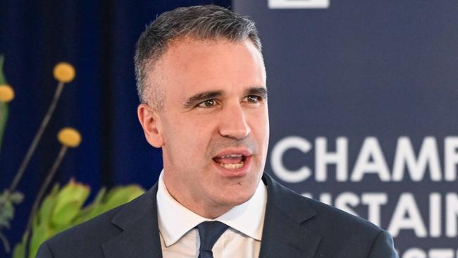 Premier Peter Malinauskas announcing the Whyalla steel plant will be run on hydrogen fuel, making it the first green steel plant in the world. April 4, 2023. Picture: GFG ALLIANCE/Brenton Edwards