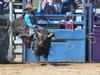 50+ PHOTOS: Mareeba Rodeo 2022