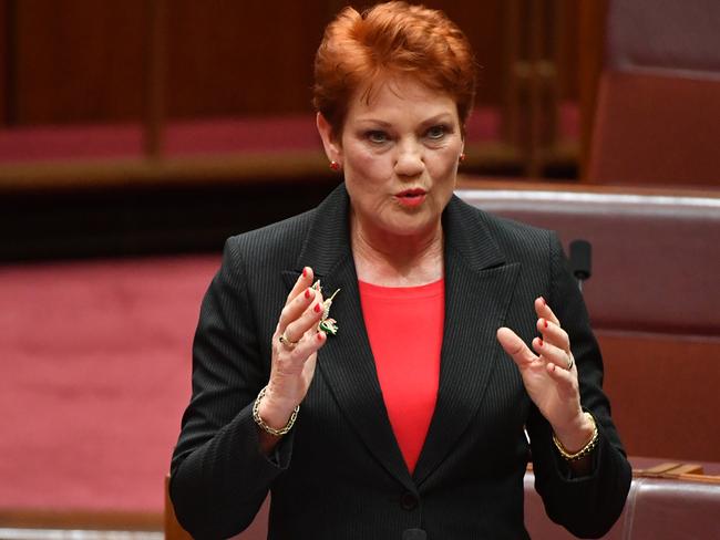 One Nation leader Pauline Hanson is under fire for her comments on children with disabilities. Picture: AAP Image/Mick Tsikas