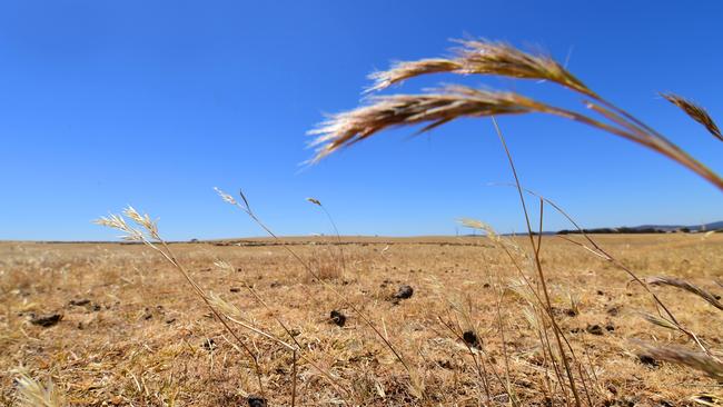 Sowing times could shift and growing regions forced to plant new varieties as more time in drought and less rainfall are forecast in Bureau of Meteorology and CSIRO’s eighth State of the Climate report. Picture: Zoe Phillips