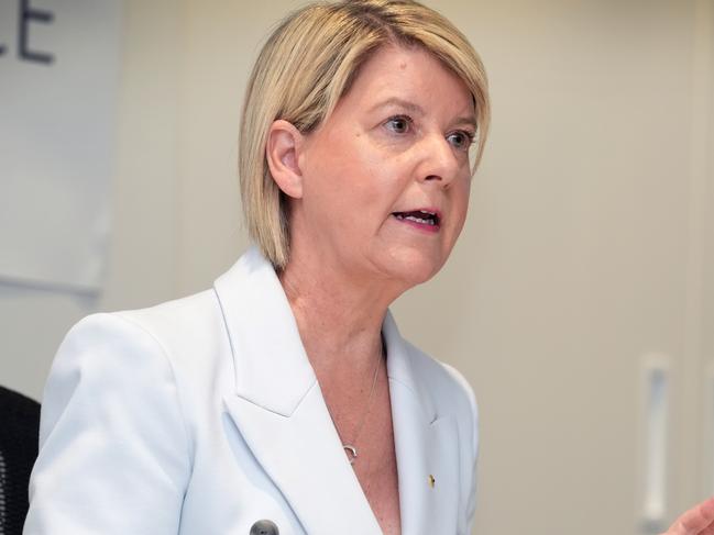 Natasha Stott Despoja giving her opening address at the Domestic Violence royal commission at the Attorney-General's Department. 20 November 2024. Picture: Dean Martin