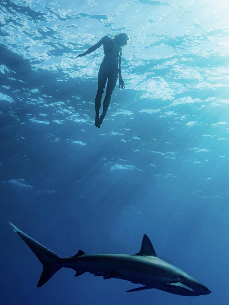 Model Marisa Papen went swimming naked with sharks. Picture: Benjamin Ono/Real Press/australscope