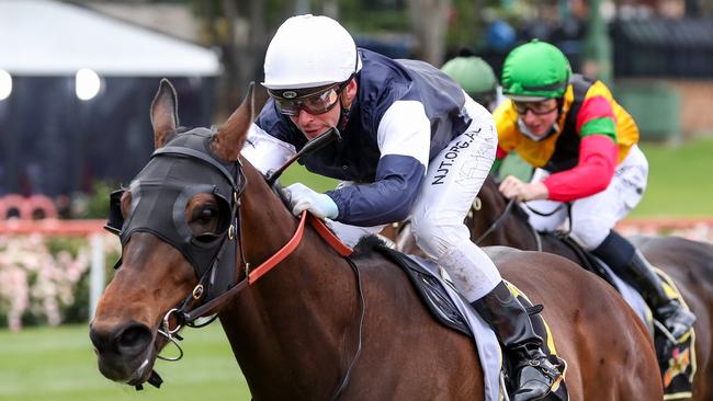 Homesman winning the Group 2 Crystal Mile at The Valley on Cox Plate day last year. Picture: George Salpigtidis