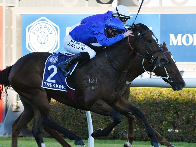 Jockey John Allen rides Trekking to victory in race 8, The Furphy Goodwood, at Morphettville Racecourse in Adelaide, Saturday, May 16, 2020. (AAP Image/David Mariuz) NO ARCHIVING, EDITORIAL USE ONLY