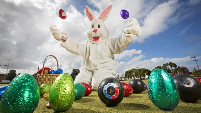 What’s on Good Friday Geelong  Gold Coast Bulletin