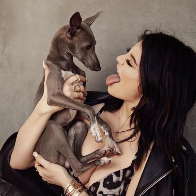 Kylie Jenner's Pets: See Photos of All Her Dogs